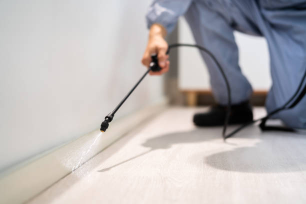 Licensed Termite Control service in Eatonville, WA - Nex Pest Control