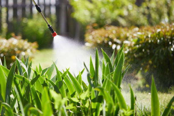 24/7 Emergency Termite Control experts in Eatonville, WA